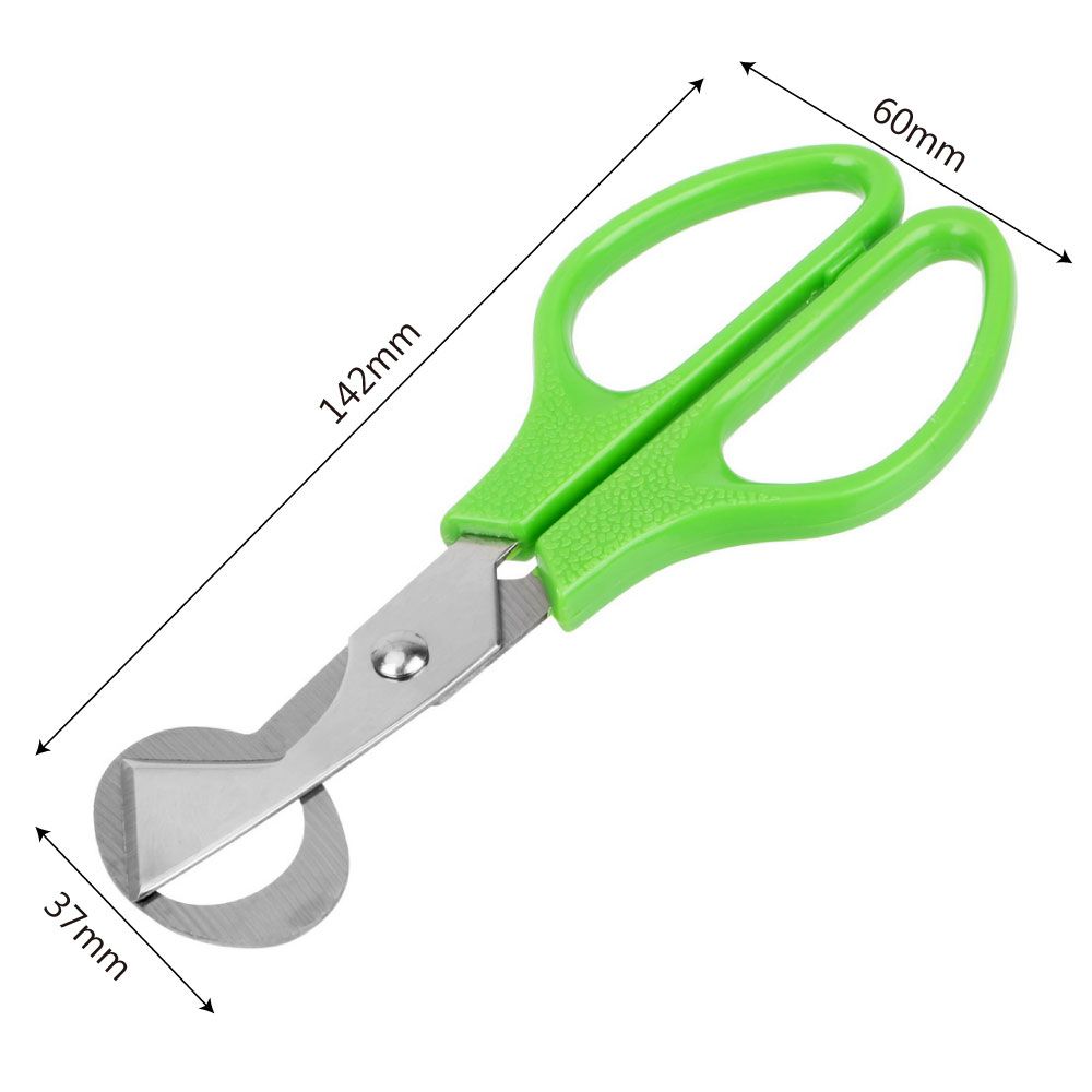 HILIFE Multifunction Cigar Cutters Quail Egg Shell Scissors Rust Resistant Stainless Steel Blade Kitchen Tools Durable