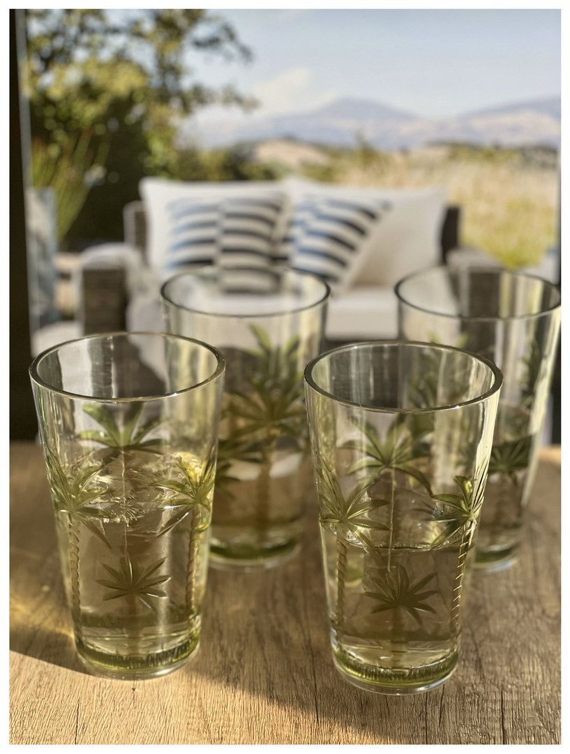 Palm Tree Design Acrylic Glasses Drinking Set of 4 Hi Ball (20oz), Plastic Drinking Glasses, BPA Free Cocktail Glasses, Drinkware Set, Plastic Water Tumblers