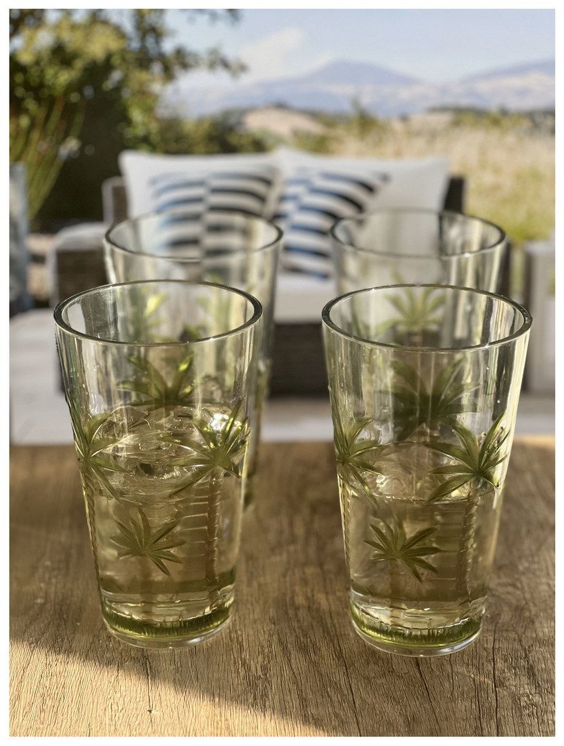 Palm Tree Design Acrylic Glasses Drinking Set of 4 Hi Ball (20oz), Plastic Drinking Glasses, BPA Free Cocktail Glasses, Drinkware Set, Plastic Water Tumblers